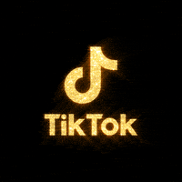 Tik Tok Ads : ¿Cómo funciona? 8 Tik Tok Ads : ¿Cómo funciona?